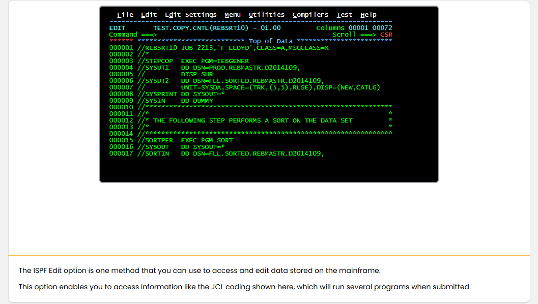 Mainframe Security and Data Access Mainframe Access: Mainframe Security and Data Access - Editing Data screenshot