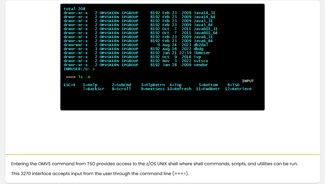 Mainframe Security and Data Access Mainframe Access: Mainframe Security and Data Access - OMVS Command Shell Session screenshot