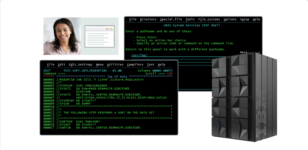 Mainframe Security and Data Access Mainframe Access: Mainframe Security and Data Access - Summary screenshot